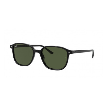 RayBan RB 2193