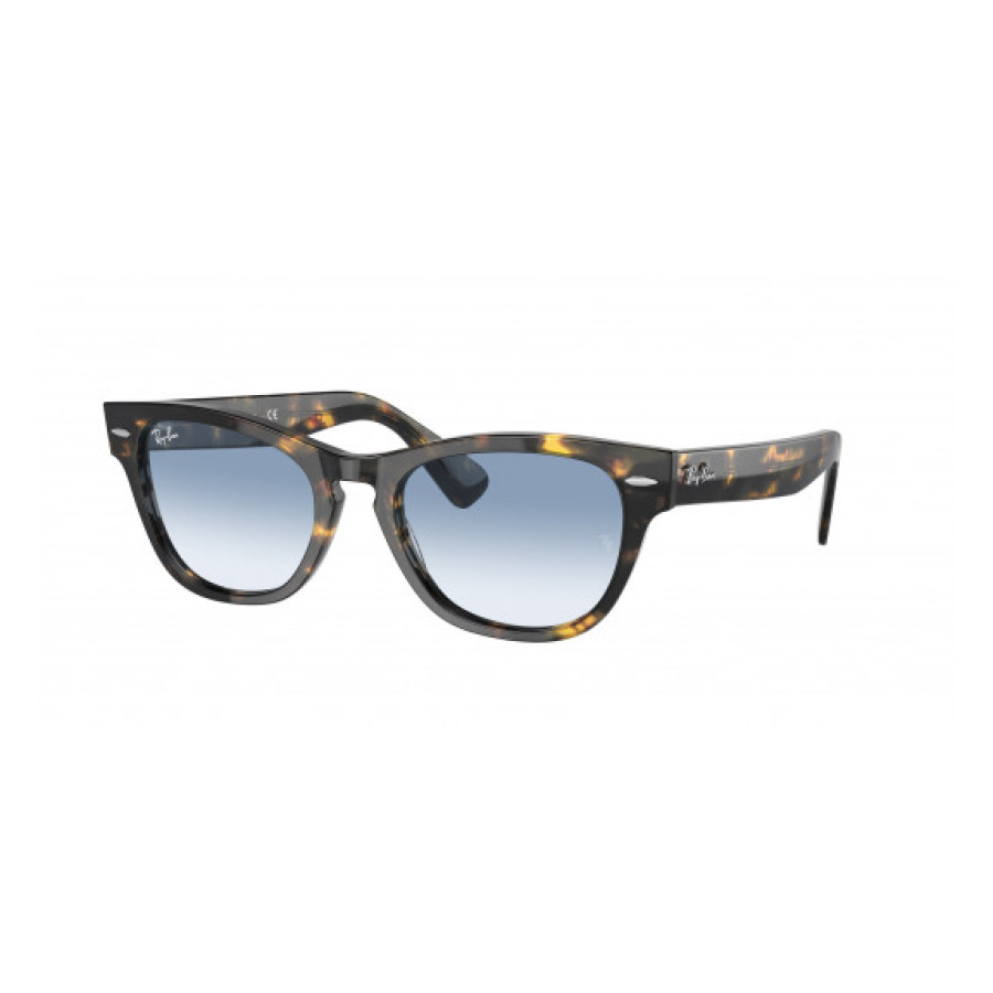 RayBan RB 2201