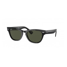 RayBan RB 2201