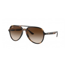 RayBan RB 4376