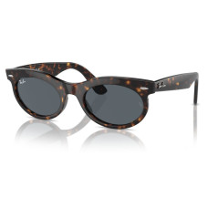 RayBan RB 2242