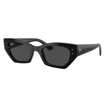 RayBan RB 4430