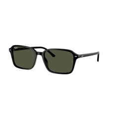RayBan RB 2231