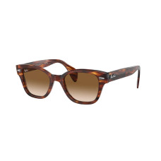 RayBan RB 0880S