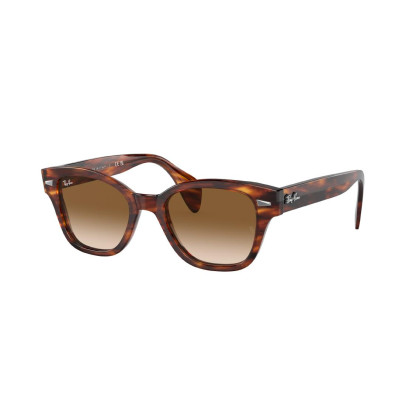 RayBan RB 0880S