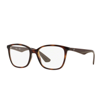 RayBan RB 7066