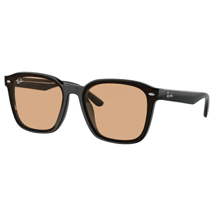 RayBan RB 4392D