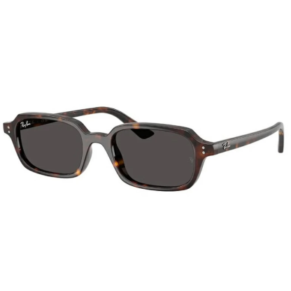 RayBan RB 4455